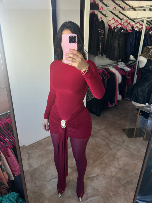 Wine along Sleeve Dress